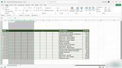 Microsoft Excel 2021365 - Beginner to Advanced - Working with Rows and Columns Instructional Video