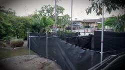 How Flamingos Are Roundup Together Is A Pretty Tough But Really Cool Job Instructional Video