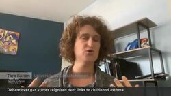 Debate over gas stoves reignites after asthma study News Clip
