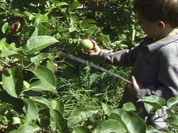 Investigar los recursos naturales de la tierra: que es un recurso natural Instructional Video