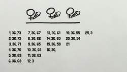 Protecting Privacy with MATH (Collab with the Census) Instructional Video