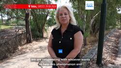 Thousands of dead fish collect around Greek port of Volos Instructional Video