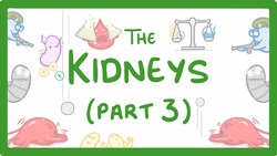 Biology - Kidney Failure (Kidneys Part 3/3) #29 Instructional Video