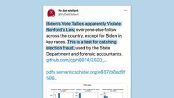 Does Benford's Law Prove Biden Election Fraud: The Truth of the Mathematical Law - TLDR News Instructional Video