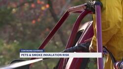 Pet owners urged to monitor their animals while wildfire smoke remains in the air News Clip