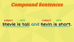 Compound-Complex Sentences | Learning English Instructional Video