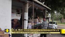 US egg crisis: 170 million birds lost to avian flu since 2022 News Clip