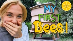 How to install a package of honey bees! | Maddie Moate Instructional Video