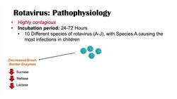 Rotavirus | Risk Factors, Pathophysiology, Symptoms, Diagnosis, Treatment Instructional Video