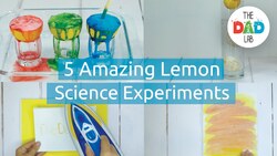 5 Lemon Science Experiments Instructional Video