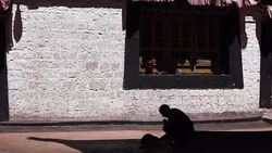 Young monk feeds stray cat in Jokhang temple. Stock Footage