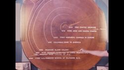 1970s: Woman uses pointer to highlight layers in cross-section of tree trunk Stock Footage
