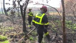 CLEAN : French civil protection force carries out 'meticulous work' against wildfire News Clip
