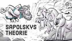 Sapolskys Theorie - Wie die Evolution unser Verhalten beeinflusst Instructional Video