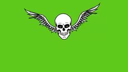 Animation of winged skull on green background Stock Footage