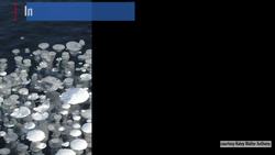 Alaska’s Bubbling Lakes Instructional Video