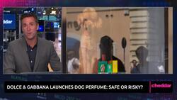 Dolce & Gabbana Launches Dog Perfume: Safe or Risky? Instructional Video