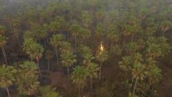 CLEAN : Aerial images of damage caused by wildfires in Bolivia's Pantanal News Clip