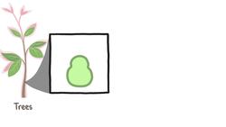 The Fastest-Growing Plant In The World Instructional Video