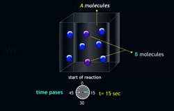 Grasping Rate of Reaction Expression and Visualization Instructional Video