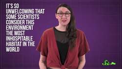 The Hardcore Crickets That Only Live on Bare Lava Instructional Video