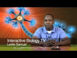 007 What is an action Potential Instructional Video