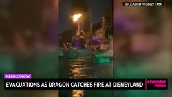 Animatronic Dragon Bursts Into Flames During Disneyland Show News Clip