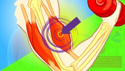 Muscle Contraction Made EASY: What REALLY Happens During Exercise Instructional Video