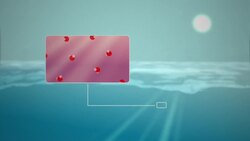 Rising Waters on the West Coast Instructional Video