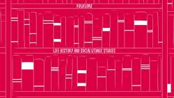 Stetson Kennedy: Unmasking The Ku Klux Klan Instructional Video