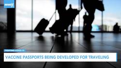 Vaccine Passports Are Being Developed For Travel News Clip