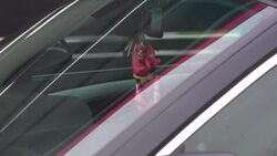 Home of Andrew Tate News Clip