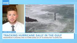 Newsy's Latest Headlines News Clip