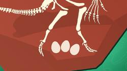 I WONDER - What Did The Oviraptor Look Like? Instructional Video