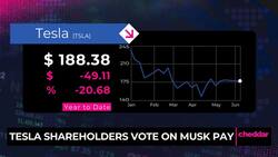 Tesla Shareholders Vote on Musk Pay News Clip