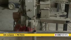 P.E.I. facing temporary shortage of chicks destined for food use as avian flu cuts into supply chain News Clip