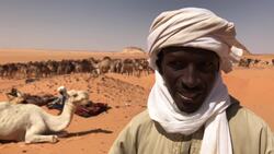 Camel herd brought to Libya after border reopens Instructional Video