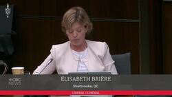 Parliamentary ethics committee punts decision to probe WE Charity scandal News Clip