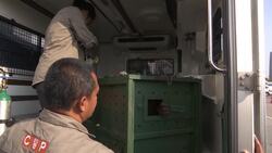 Trafficked orangutans sent home from Thailand News Clip