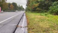 DEC: Highland Mills bear found dead and mutilated died in car crash News Clip