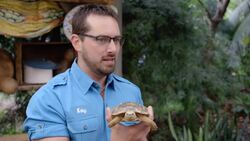 Why This Pancake Tortoise Might Be The Cutest Thing You’ll See Today! Instructional Video