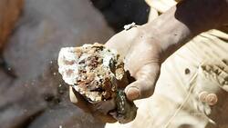 The Environmental and Human Costs of Industrial Cobalt Mining in the DRC Instructional Video