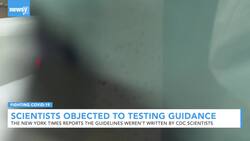 COVID-19 Testing Rules Reportedly Issued Against Scientists' Wishes News Clip