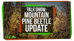 Mountain Pine Beetle Update: SciShow Talk Show Instructional Video