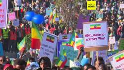 Ethiopia's opposition party denounces ban as threat to peace deal News Clip