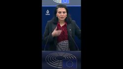 ‘There are no more words to say on Gaza’ Swedish MEP’s silent protest News Clip