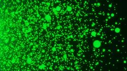 Many abstract small green particles in space, computer generated abstract background Stock Footage