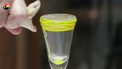 Deadliest Job in America - Snake Milker! Instructional Video