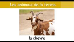 Farm animals in French - French vocabulary 11 Instructional Video