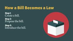 How a Bill Becomes a Law Instructional Video